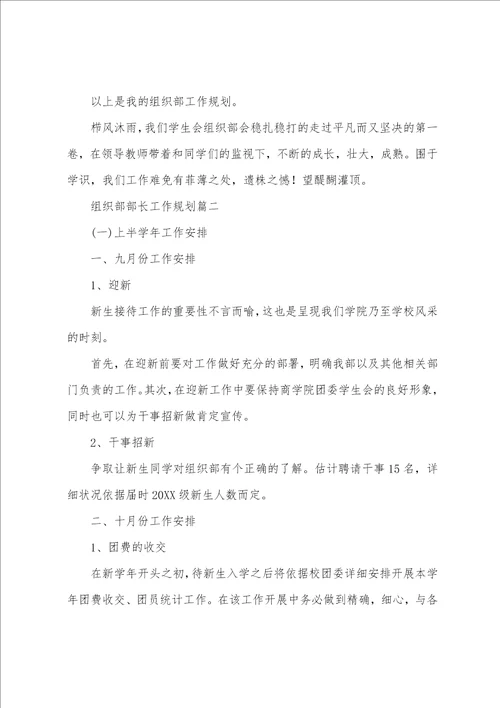 组织部部长工作计划