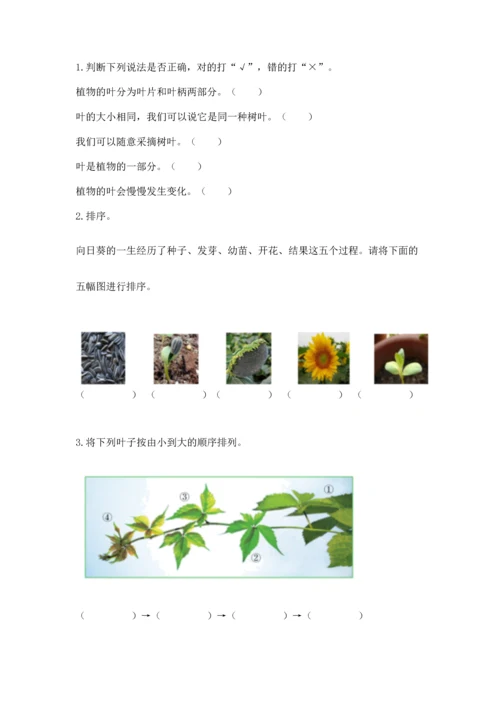 教科版科学一年级上册第一单元《植物》测试卷及完整答案（考点梳理）.docx