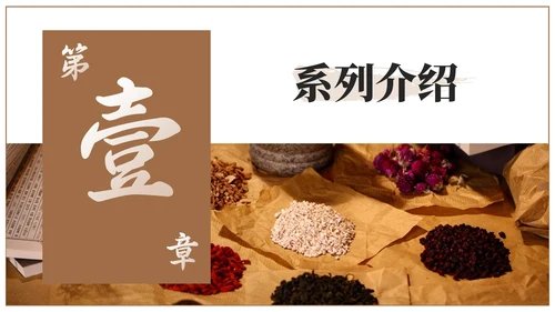 棕色中医药产品介绍PPT模板