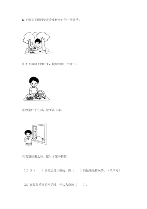 教科版科学一年级上册第一单元 植物 测试卷精品【精选题】.docx