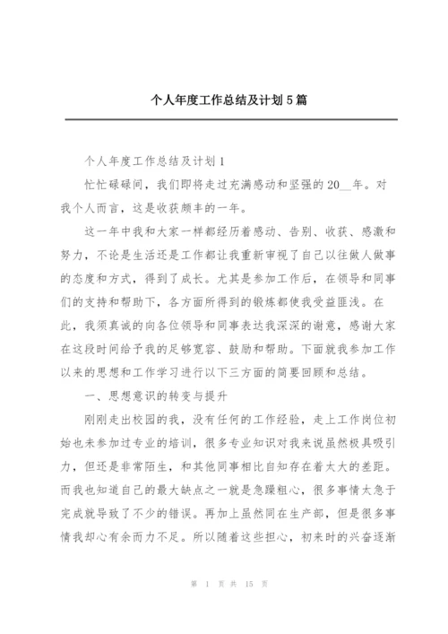 个人年度工作总结及计划5篇.docx