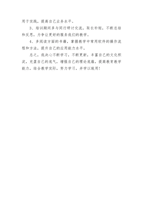 教师信息技术应用能力提升学习个人研修计划.docx