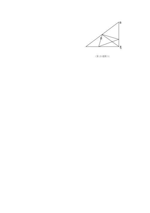 上海市16区2020届中考一模数学试卷分类汇编：押轴题(含答案).docx