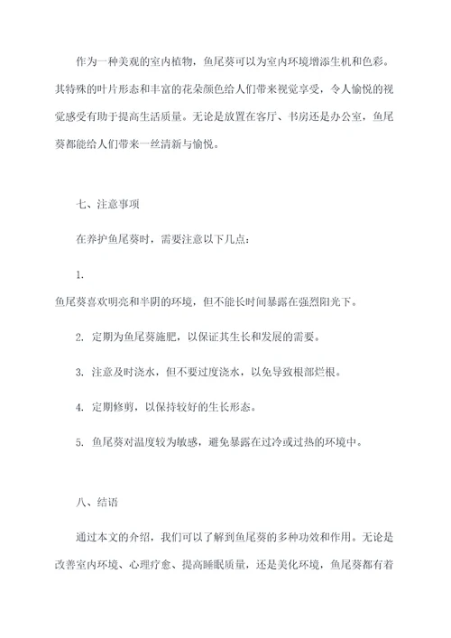 鱼尾葵的功效和作用