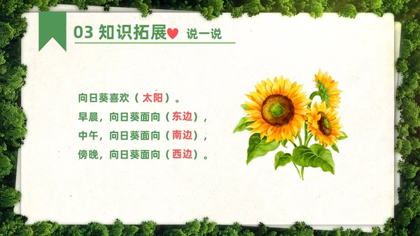 绿色简约实拍要是你在野外迷了路二年级语文下册说课PPT课件小学语文二年级下册课件