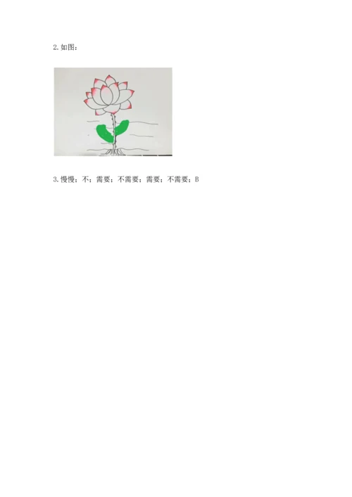 教科版科学一年级上册第一单元《植物》测试卷含答案【基础题】.docx
