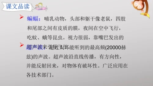 6 夜间飞行的秘密   课件