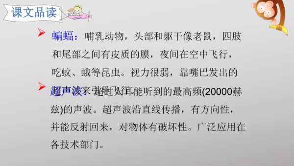 6 夜间飞行的秘密   课件