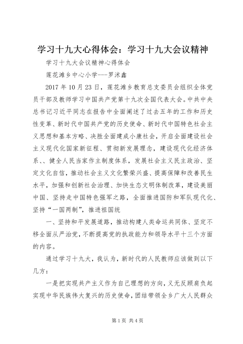 学习十九大心得体会：学习十九大会议精神 (3).docx