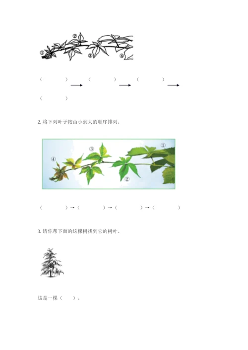 教科版科学一年级上册第一单元《植物》测试卷及1套参考答案.docx