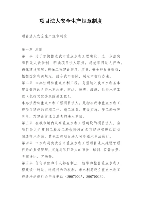 项目法人安全生产规章制度.docx
