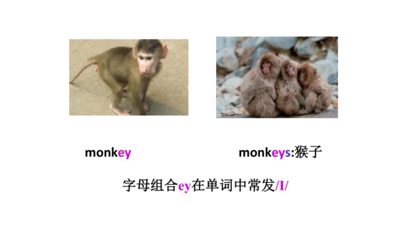 人教精通版小学英语三年级上册同步课件（共117张PPT)