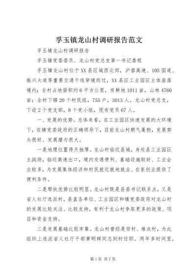 孚玉镇龙山村调研报告范文.docx