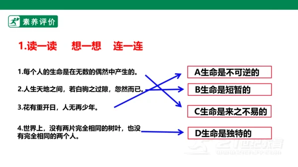 8.1生命可以永恒吗 课件