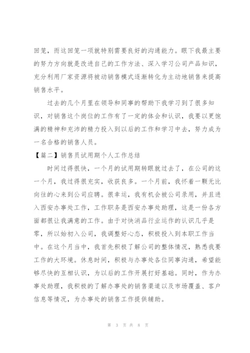 销售员试用期个人工作总结.docx