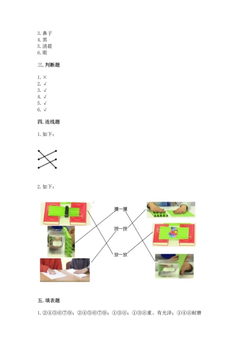 教科版二年级上册科学期末测试卷含完整答案【有一套】.docx