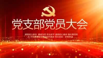 党支部党员大会工作总结汇报动态PPT