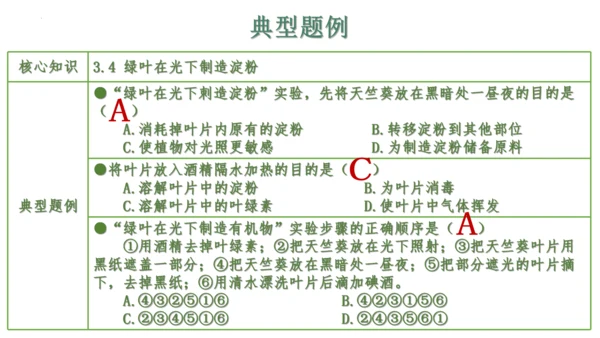 第三单元 植物的生活（单元复习课件）2023-2024学年七年级生物上册同步精品课件（人教版）(共3