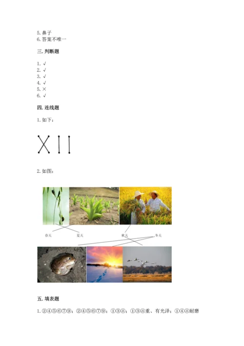 教科版科学二年级上册《期末测试卷》含答案解析.docx