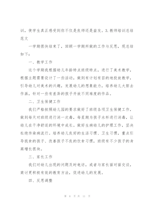 教师培训总结范文（5篇）.docx