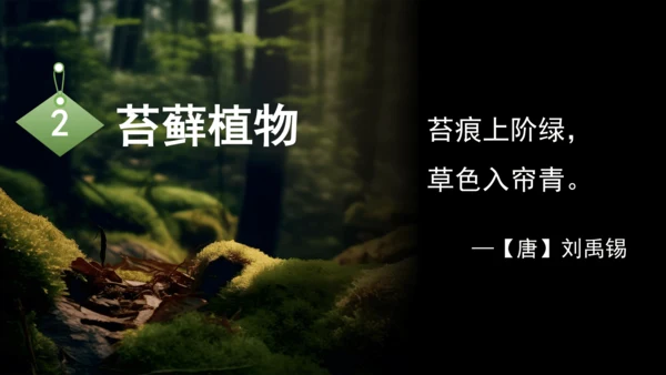 3.1.1 藻类、苔藓和蕨类植物 课件 人教版生物七年级上册(共27张PPT)