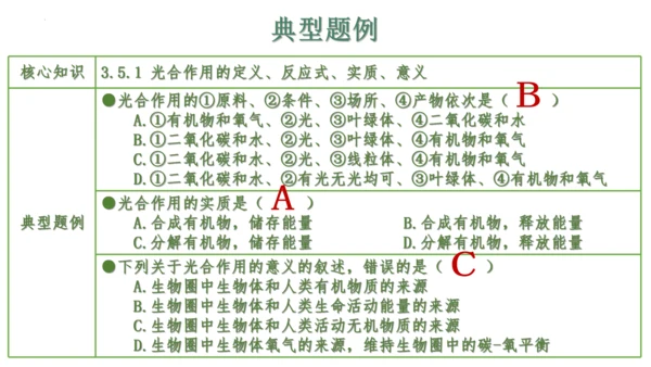 第三单元 植物的生活（单元复习课件）2023-2024学年七年级生物上册同步精品课件（人教版）(共3