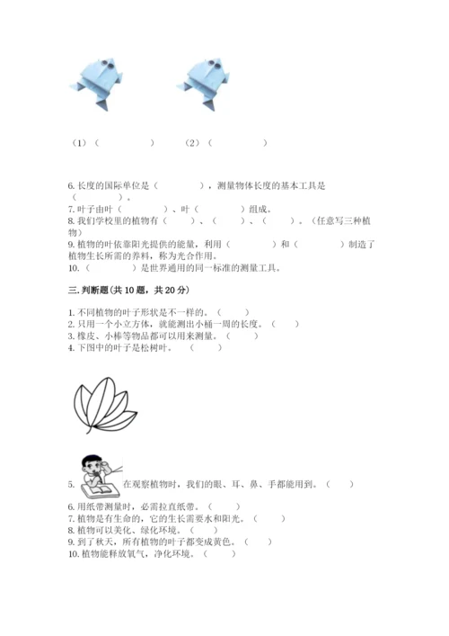 教科版一年级上册科学期末测试卷【全国通用】.docx