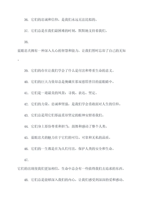 来源蓝眼忠犬好词好句