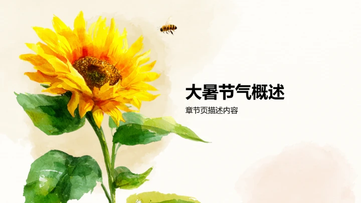 二十四节气大暑PPT模板