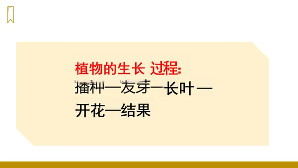 第14课《我要的是葫芦》（课件）