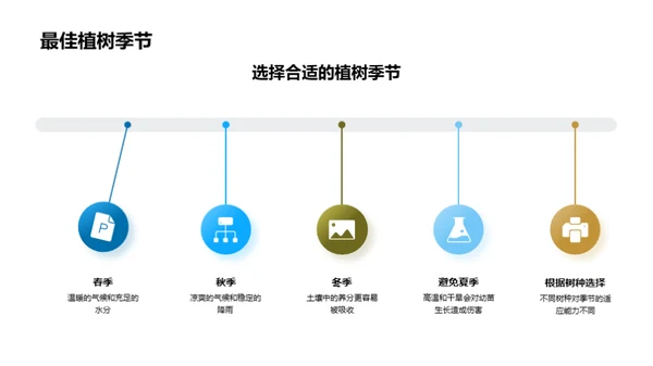 科学植树实践探索