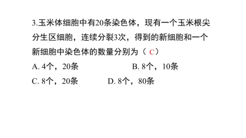 人教版（2024）七年级上册1.3.1细胞通过分裂产生新细胞 课件(共19张PPT)