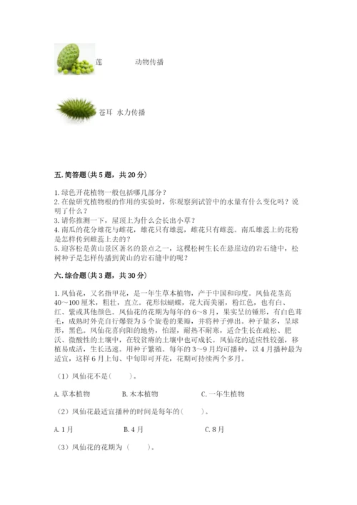 科学四年级下册第一单元《植物的生长变化》测试卷（word）.docx