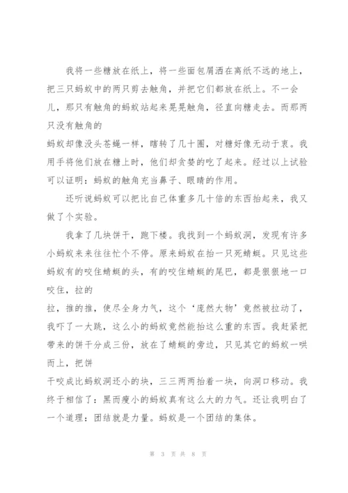 小学观察蚂蚁日记600字5篇.docx