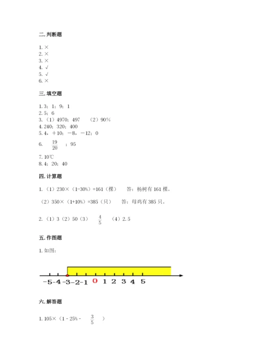 驻马店市确山县六年级下册数学期末测试卷及参考答案一套.docx