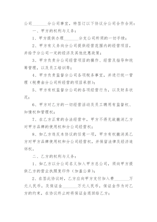 检测分公司合作协议书.docx