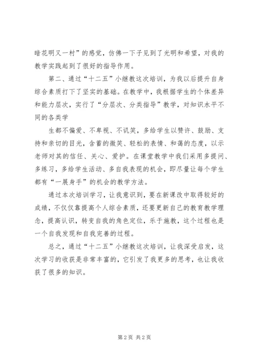 小继教学习心得体会55 (2).docx