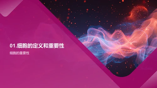 细胞知识讲解PPT模板