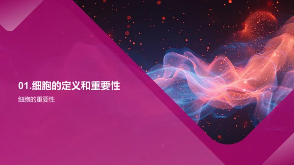 细胞知识讲解PPT模板