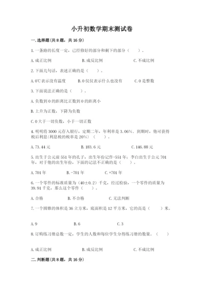 小升初数学期末测试卷精品（夺冠）.docx
