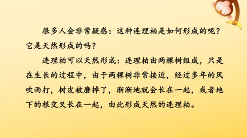12 故宫博物院   课件