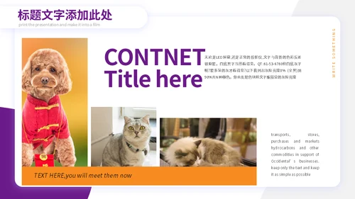 宠物小狗狗泰迪犬通用PPT模板