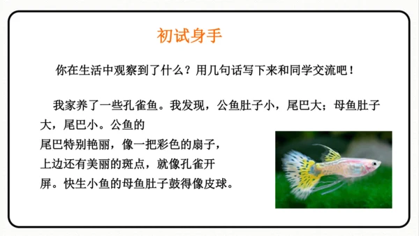 小学统编版三年级语文上册 语文园地五 课件