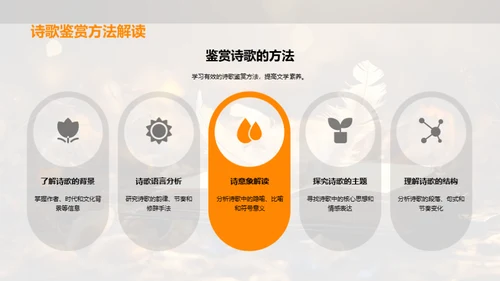 诗歌解析与鉴赏