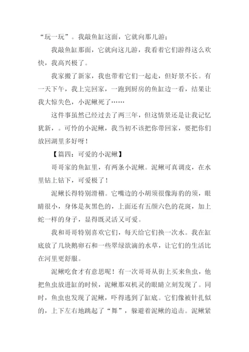 小泥鳅作文0.docx