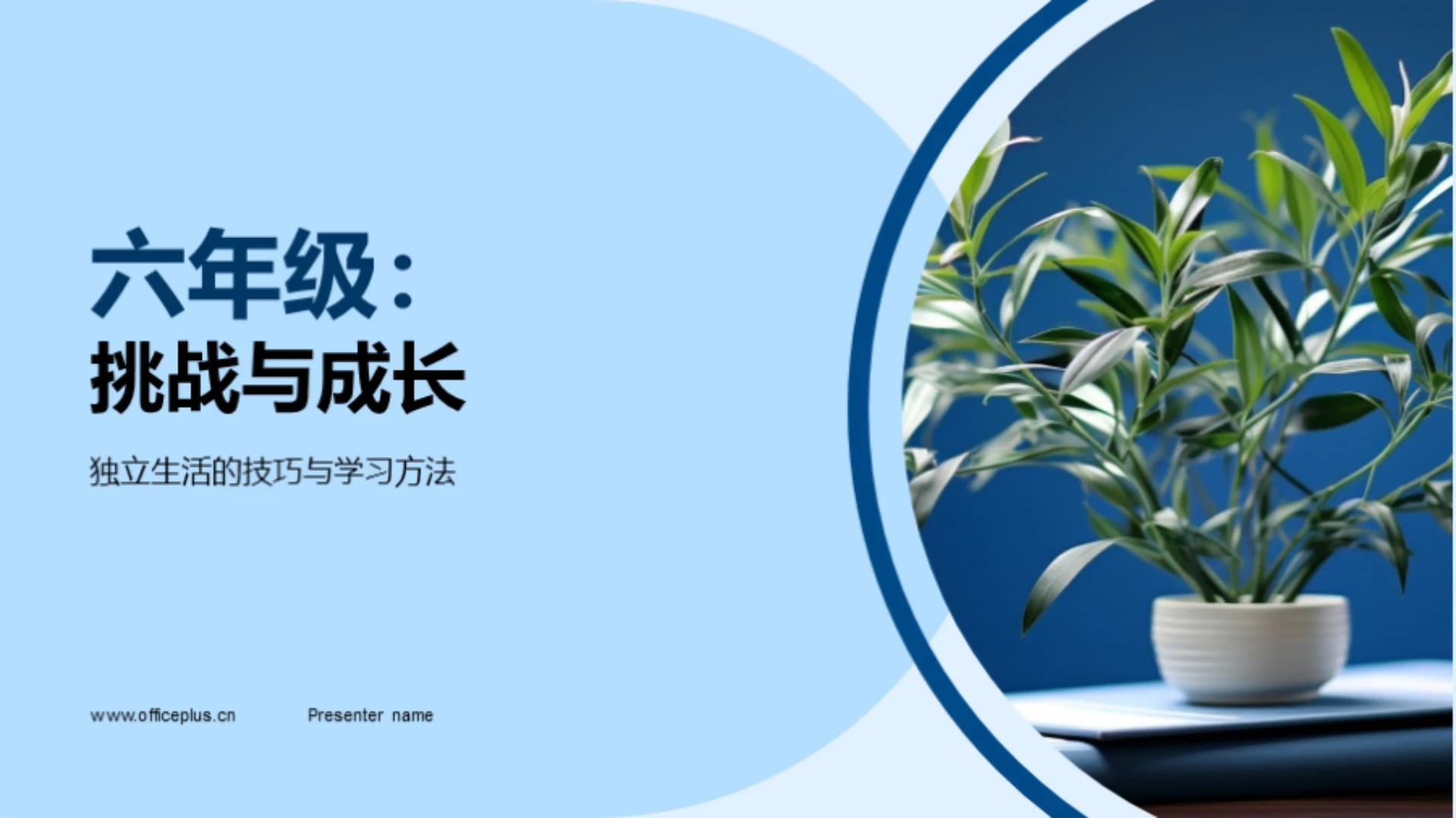 六年级:挑战与成长