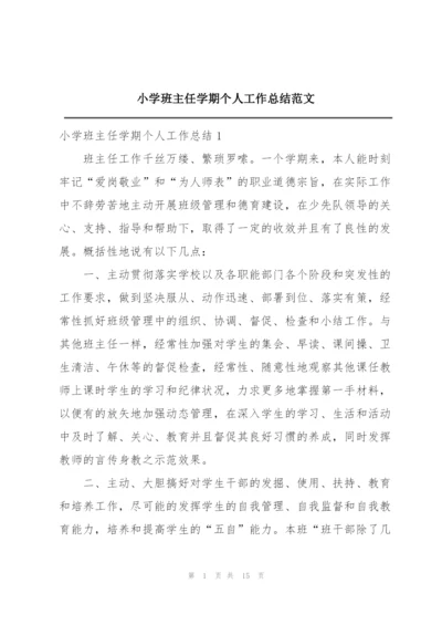 小学班主任学期个人工作总结范文.docx