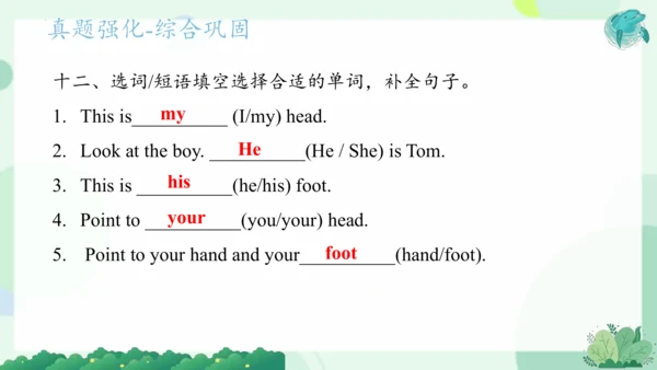 Module 10（复习课件）-2023-2024学年三年级英语上册期末核心考点集训（外研版三起）(