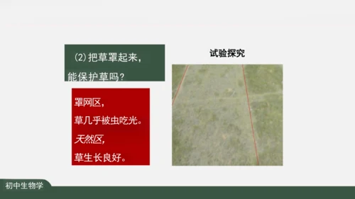 1.2.2 生物与环境组成生态系统 课件（共30张PPT）