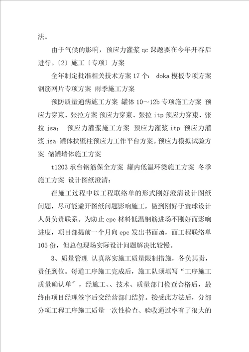 2023年项目管理专业技术工作总结